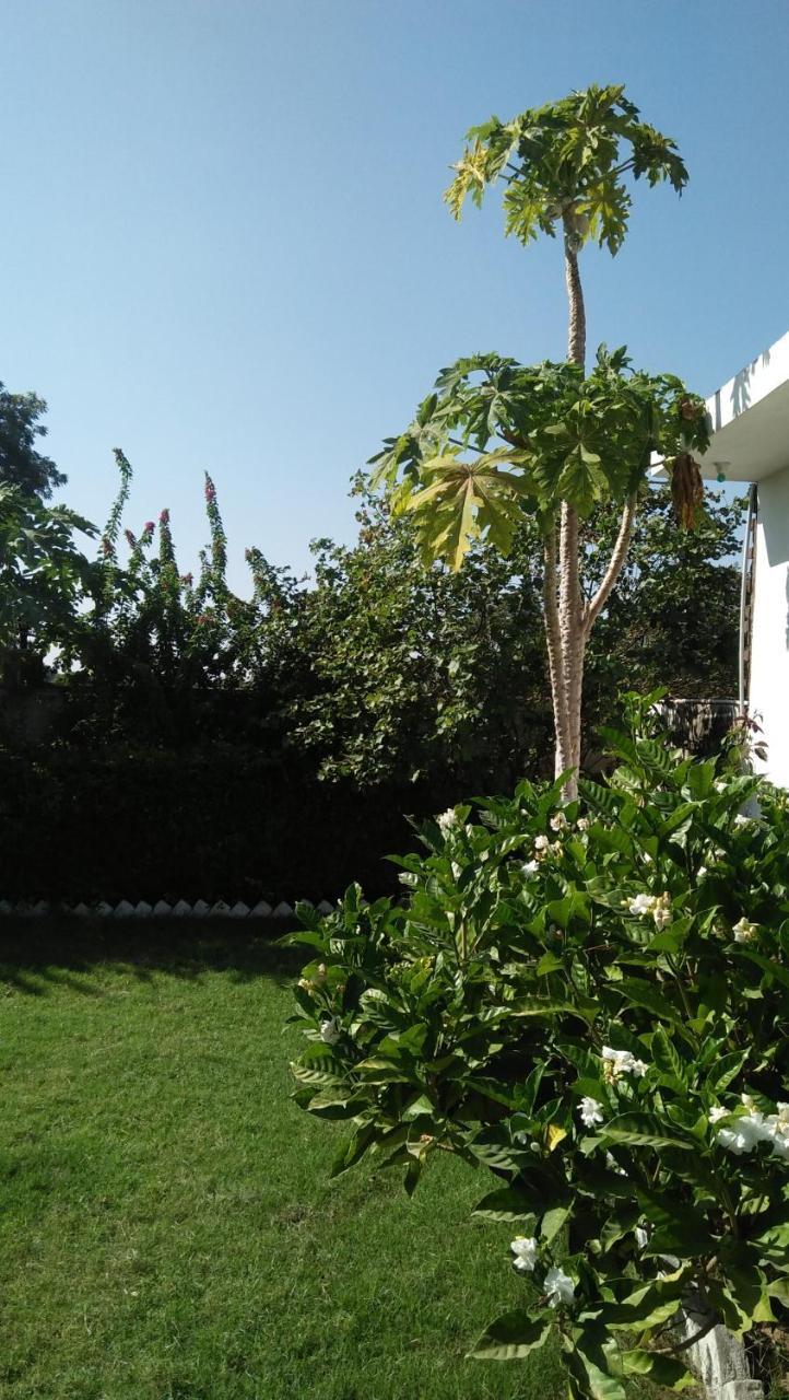 Prem Home Stay Khajuraho Exterior photo